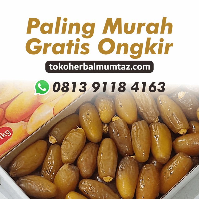 grosir kurma semarang